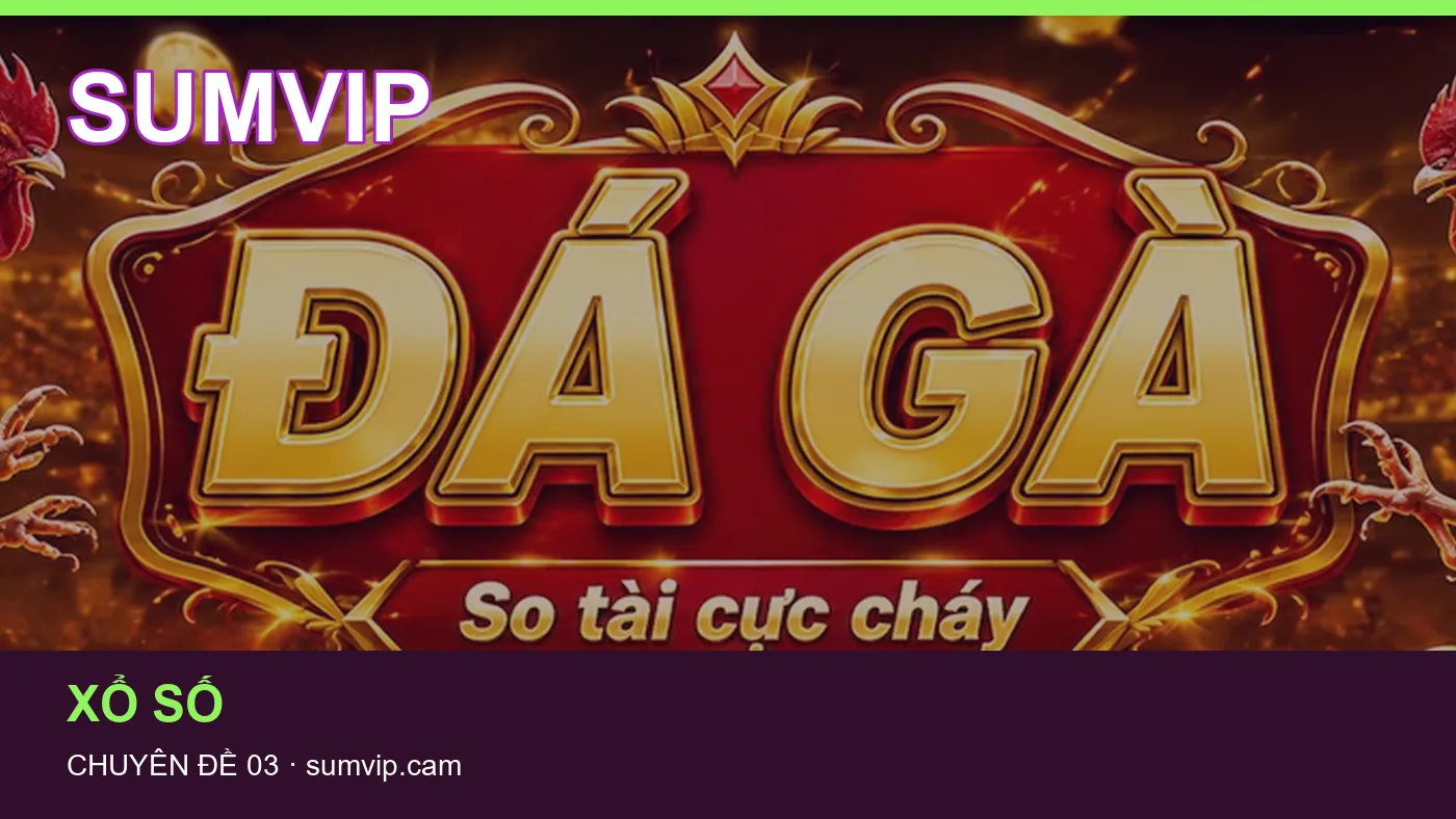 Cách bắt đầu đọc chuyên mục Hướng dẫn trên SUMVIP